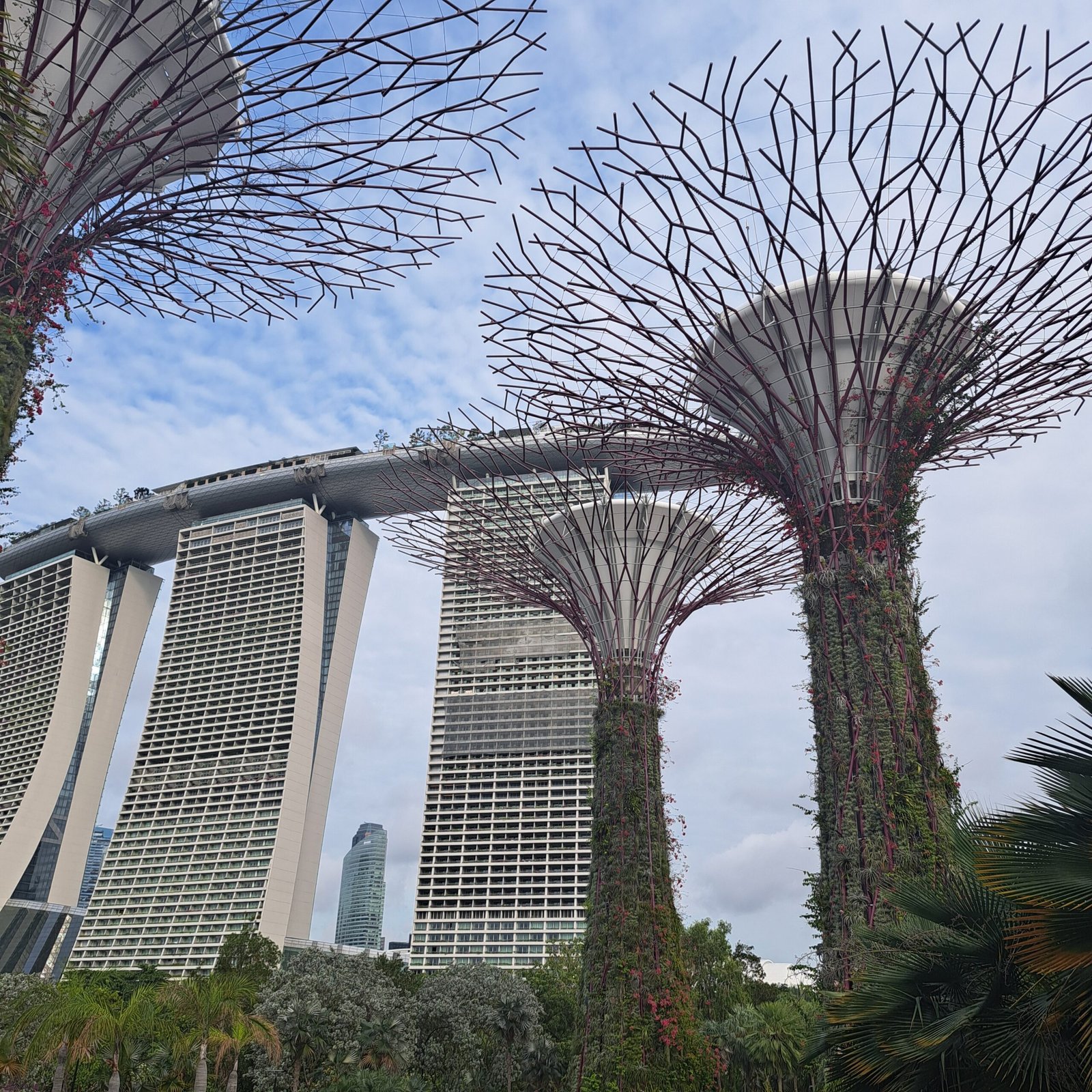 Gardens by the Bay – Singapore