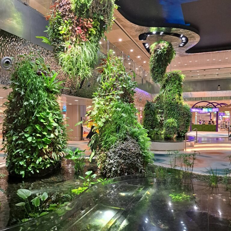 20240802_055233