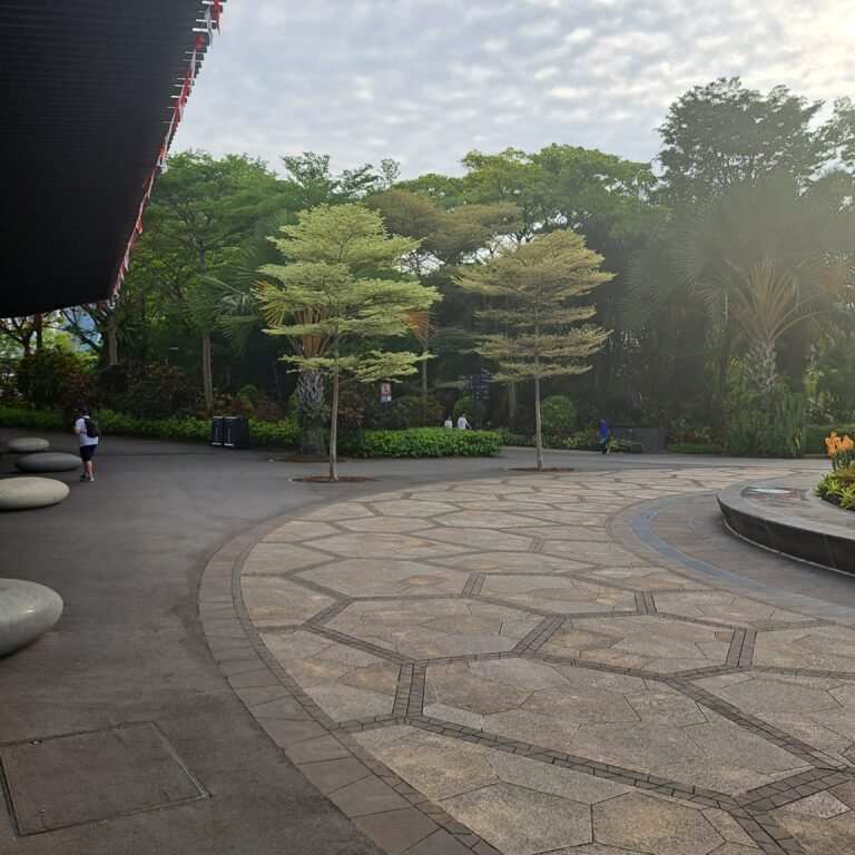 20240802_083157
