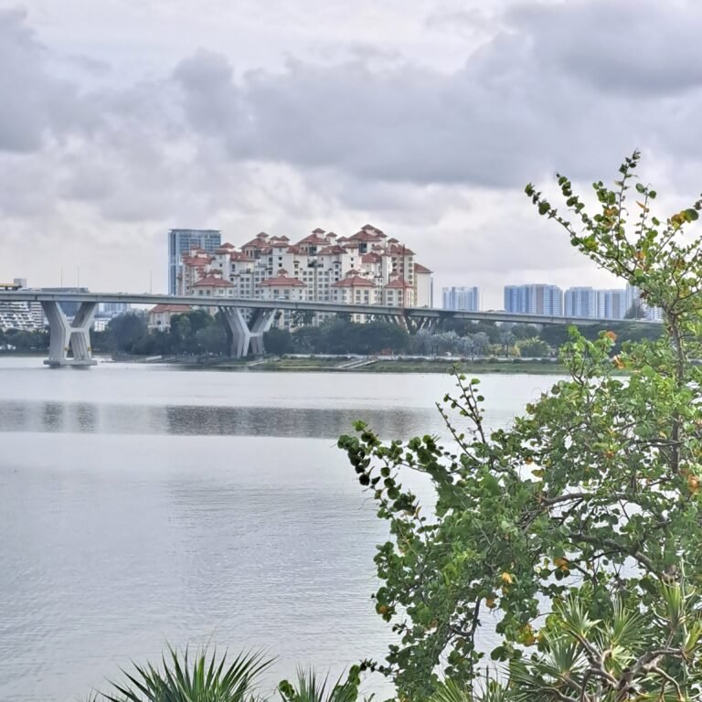 20240802_084153
