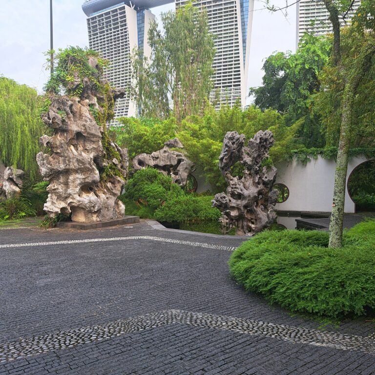 20240802_085953