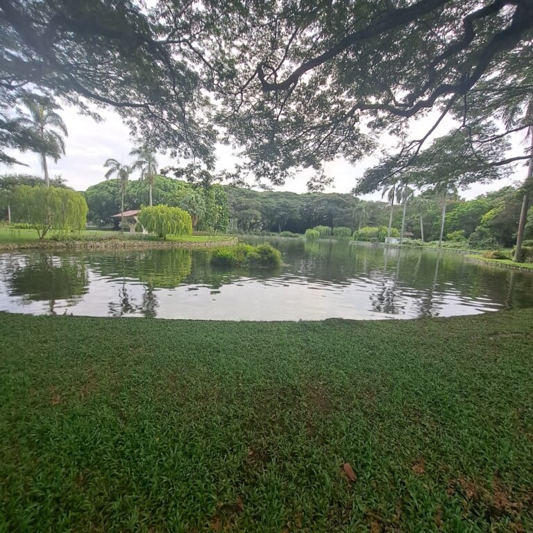20240817_075753